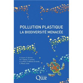 Pollution plastique