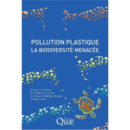 Pollution plastique
