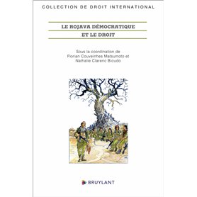 Le Rojava démocratique et le droit