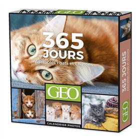 365 JOURS ADORABLES CHATS ET CHATONS  - CALENDRIERS GÉO