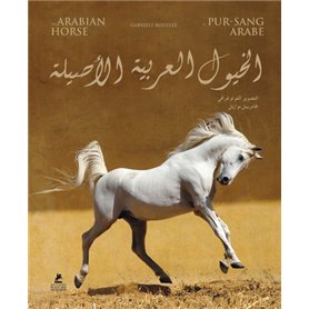 The Arabian Horse - Trilingual : English