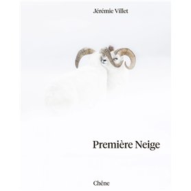 Première neige