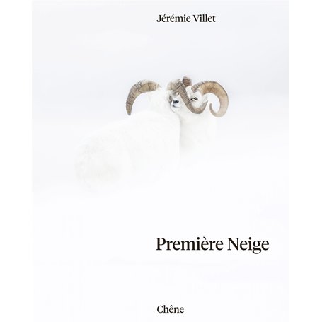 Première neige