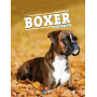 Le boxer