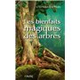 Les bienfaits magiques des arbres