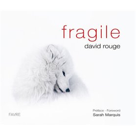 Fragile