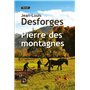 Pierre des montagnes