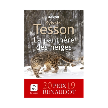 La panthère des neiges