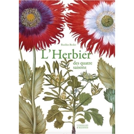 HERBIER DES QUATRE SAISONS MINI REEDITION