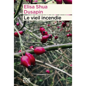 Le vieil incendie