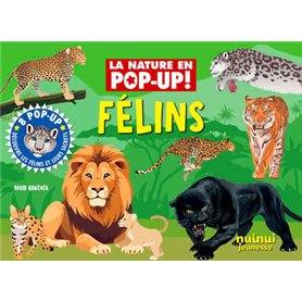 La nature en pop up - Félins