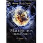 La Malédiction des Dragensblöt - Tome 2