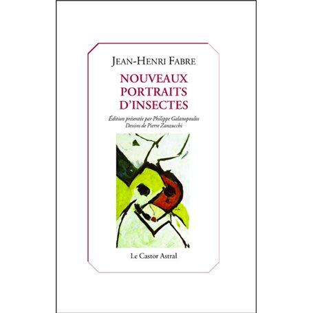 Nouveaux portraits d'insectes