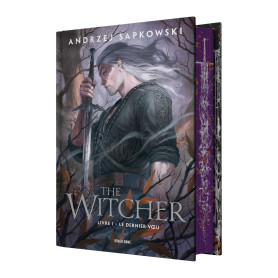 Sorceleur (Witcher)