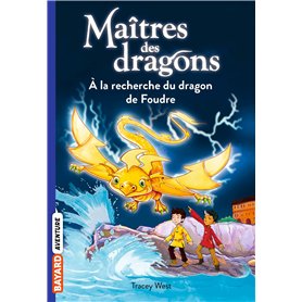 Maîtres des dragons