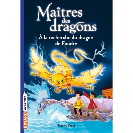 Maîtres des dragons