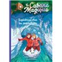 La cabane magique