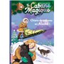 La cabane magique