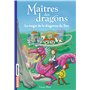 Maîtres des dragons