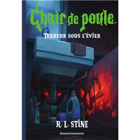 Chair de poule