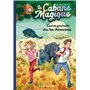 La cabane magique