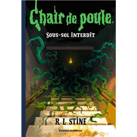 Chair de poule