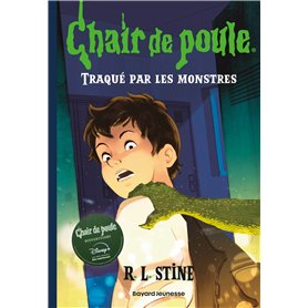 Chair de poule