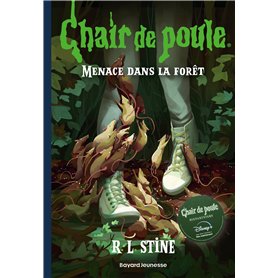 Chair de poule