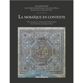La mosaïque en contexte