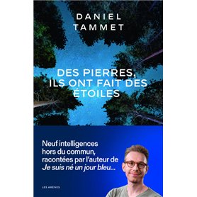 Des pierres