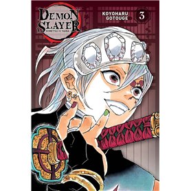 Demon Slayer - Edition Pilier T03