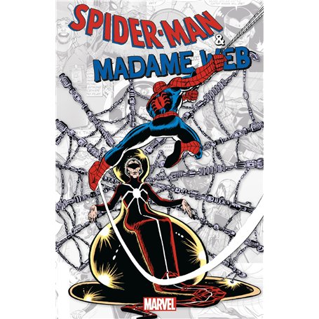 Marvel-verse : Spider-Man & Madame Web