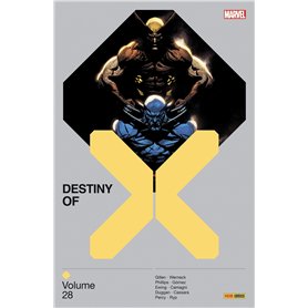 Destiny of X T28
