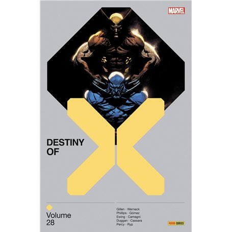 Destiny of X T28