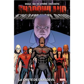 Shadowland : La chute de Daredevil (Nouvelle édition)