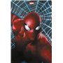 Marvel Comics (II) N°16 (Variant - Tirage limité) - COMPTE FERME