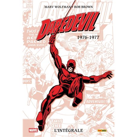 Daredevil : L'intégrale 1976-1977 (T12)