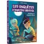 Enquêtes Anatole Bristol - Tome 02 Mystères et visages pales NED