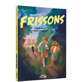 FRISSONS - ENQUETE CRIMINELLE SOUS HAUTE TENSION