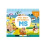 Mes jeux effaçables de MS
