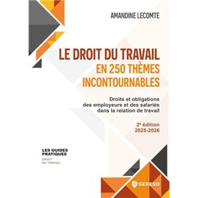 Le droit du travail en 250 thèmes incontournables