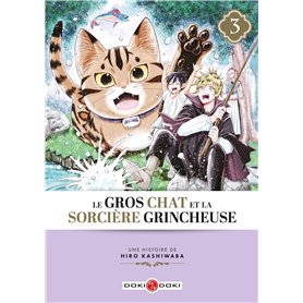 Le Gros Chat et la Sorcière grincheuse - vol. 03