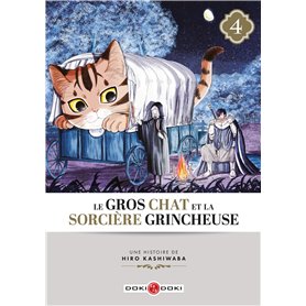 Le Gros Chat et la Sorcière grincheuse - vol. 04