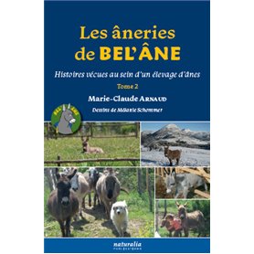 Les âneries de Bel’Âne - Tome 2
