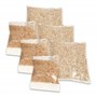 Catit Kit Herbe à Chat 3 Pièces