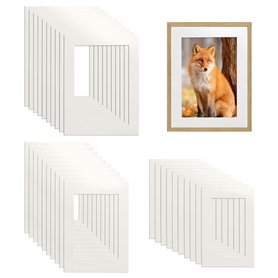 TTQiAnJ 30 Pièces Passepartout Carton