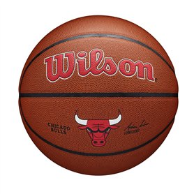 Wilson NBA Team Alliance BSKT