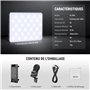 NEEWER Basics Lampe LED à Clip pour Selfie Compatible avec iPhone, Rechargeable 2000 mAh, Support de téléphone et Chiffon de Net