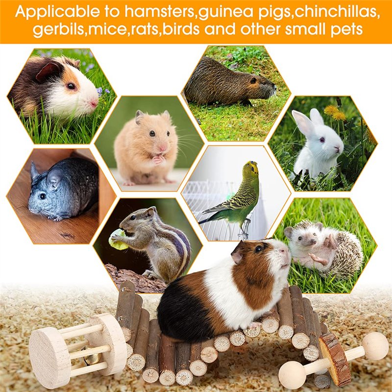 CoComelon CMW0111 Calendrier de l'Avent