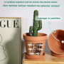 vensovo Lot de 2 grands pots en argile avec soucoupe - 20,3 cm - En terre cuite avec trou de drainage - Pour plantes d'intérieur